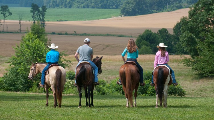 Tennessee forms new state health commission for horses