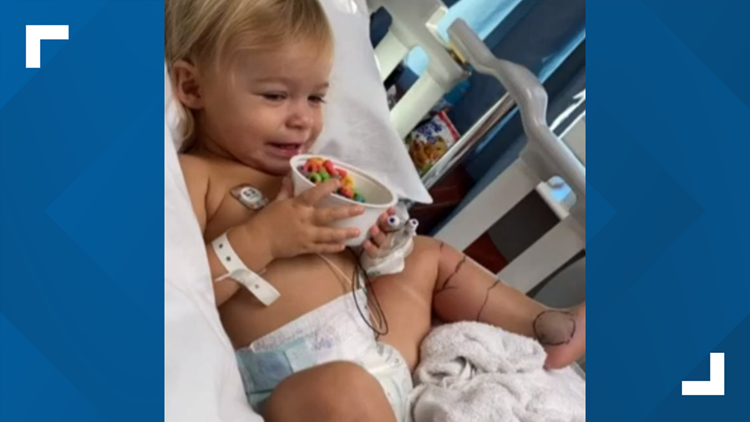 Tennessee toddler bitten by copperhead snake