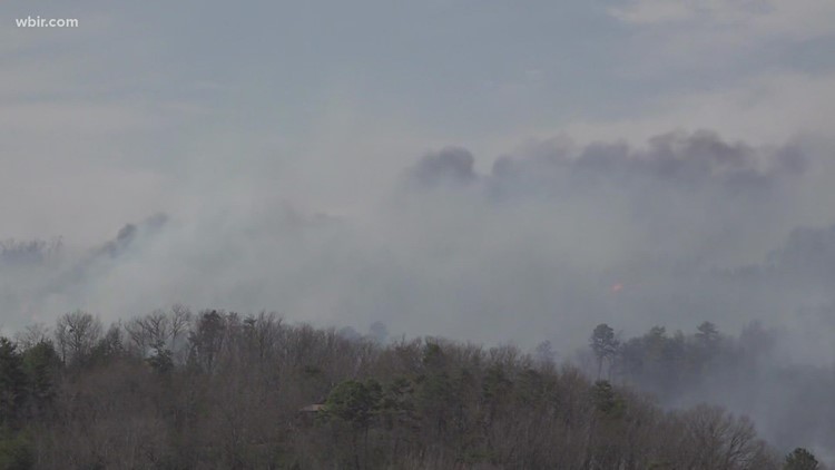 How to help those affected by the Wears Valley wildfire