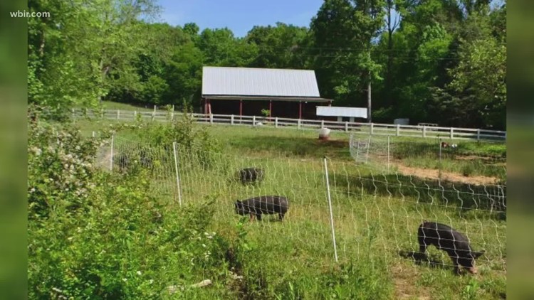 East Tennessee farmers market vendors face inflation heading into season