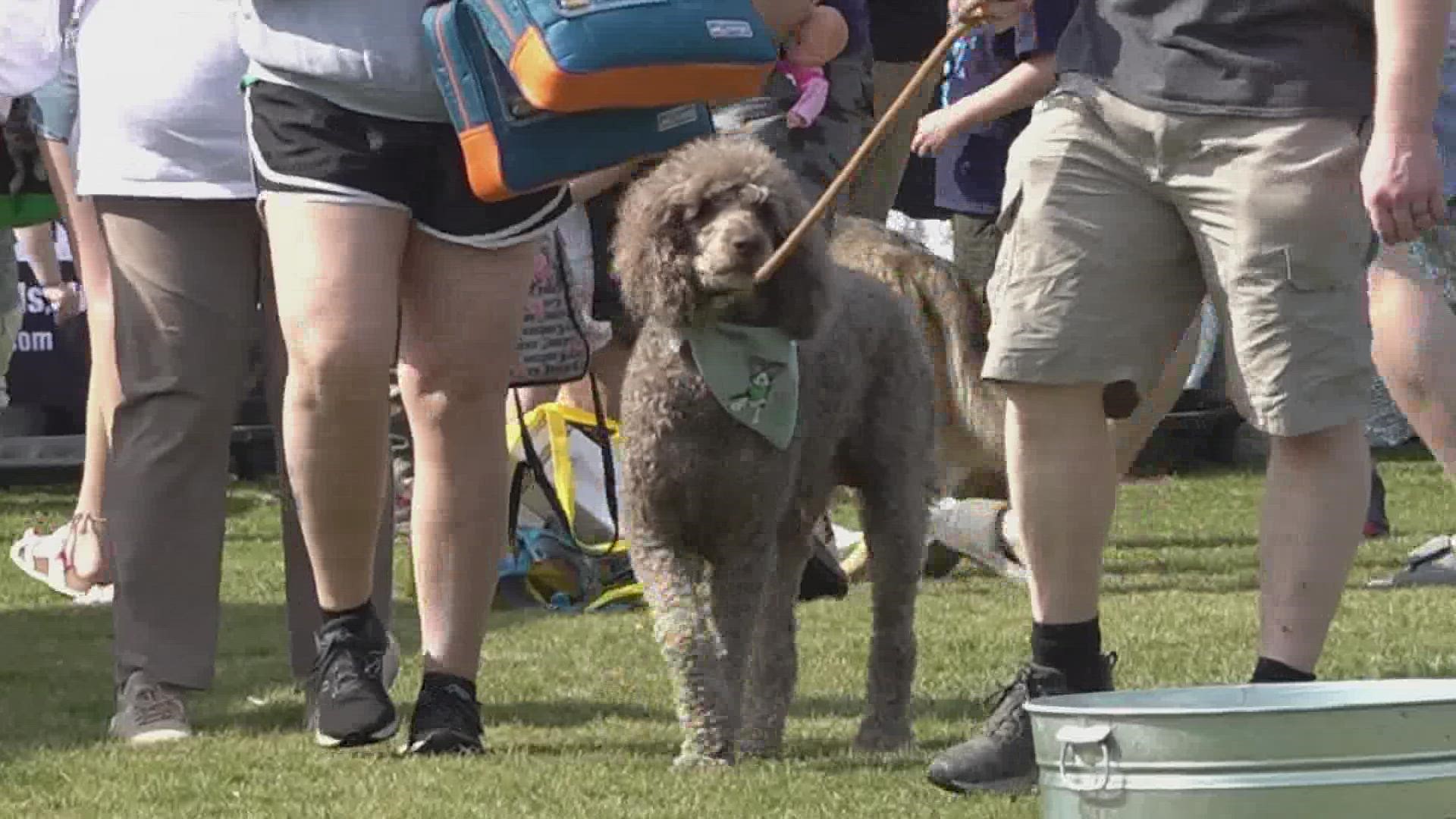The weather wasn't "ruff" for one of Knoxville's favorite events — Mardi Growl!