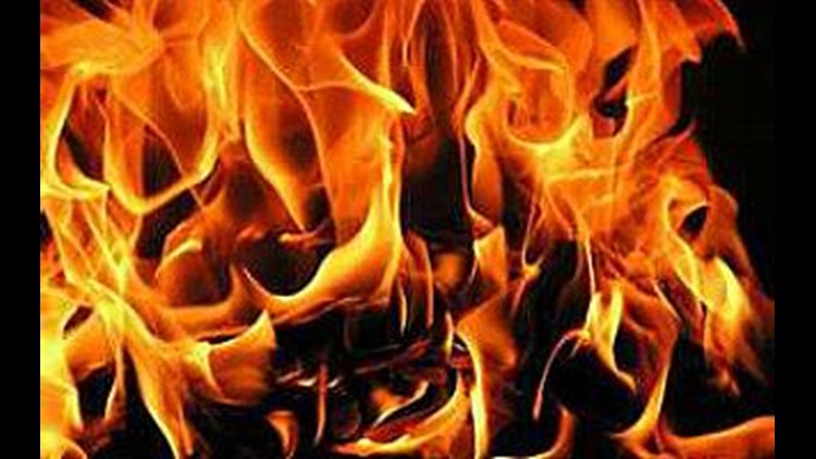 Dozens of chickens die in Greene County barn fire