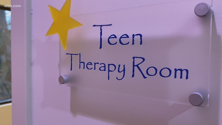 Safe Harbor launches campaign to expand child mental health services Safe Harbor launches campaign to expand child mental health services