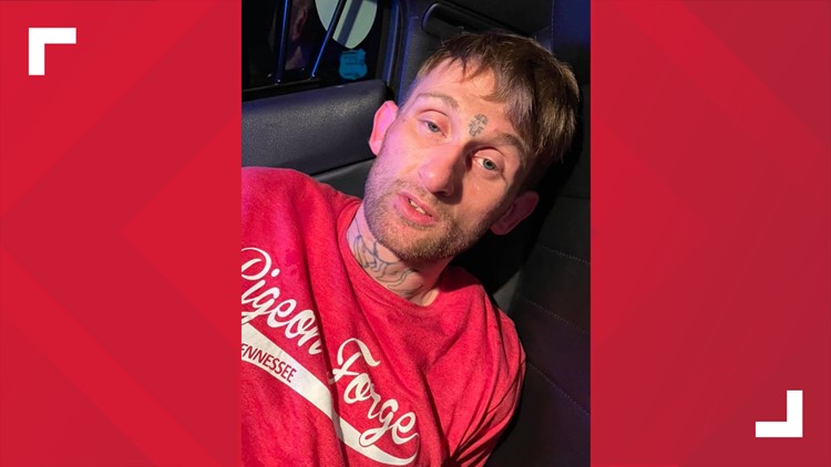 Man faces several charges after nearly hitting a deputy cruiser during chase in Loudon County