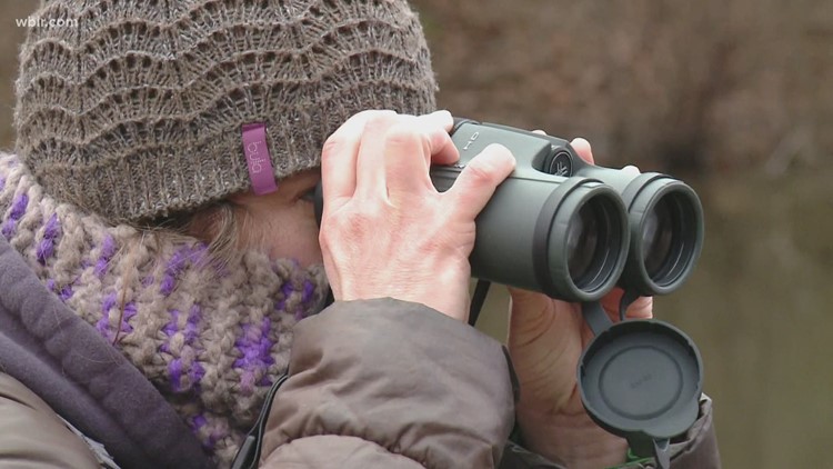 Scientists invite public to collect data on TN bird species