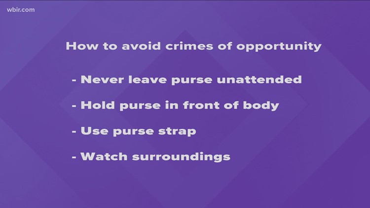Sevierville Police warn of increased car break-ins and purse thefts during holiday season