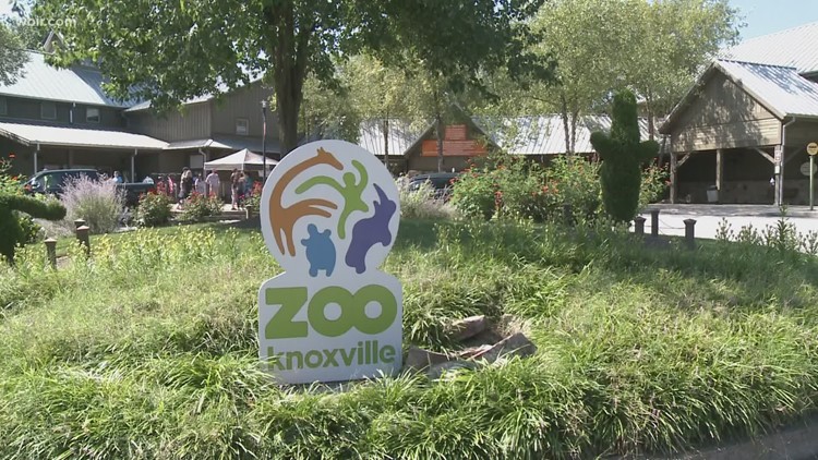 KPD: Man arrested after causing disturbance at Zoo Knoxville fundraiser