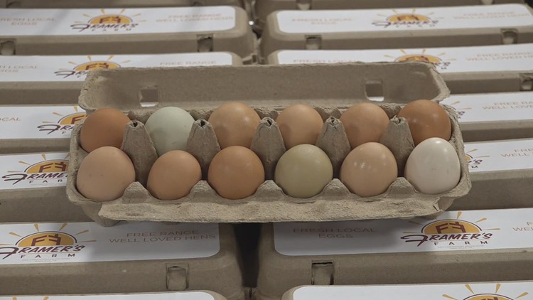 Blount County farm donates over 200 dozen eggs
