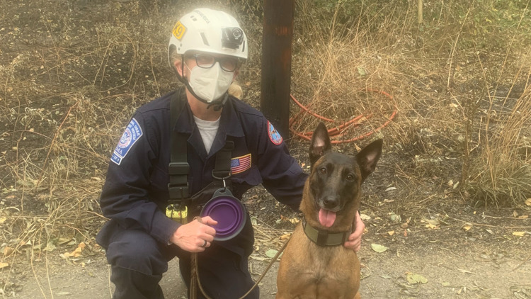 UT professor and her dogs aid in bringing closure to families after catastrophic events UT professor and her dogs aid in bringing closure to families after catastrophic events