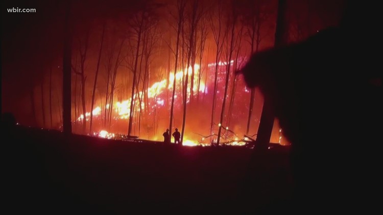 TN Dept. of Agriculture: Downed power lines caused Sevier Co. wildfires
