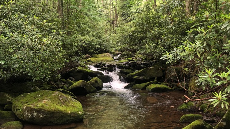 Quieter hikes, drives in the Great Smoky Mountains for the introverted outdoor adventurer