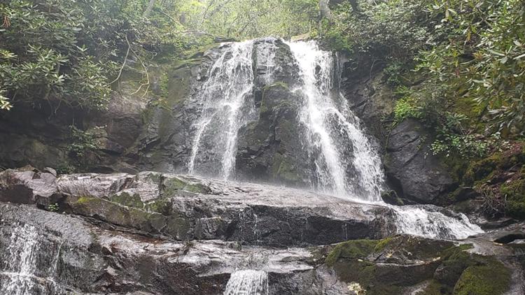 Pilot plan to control trail congestion at Laurel Falls will begin in September