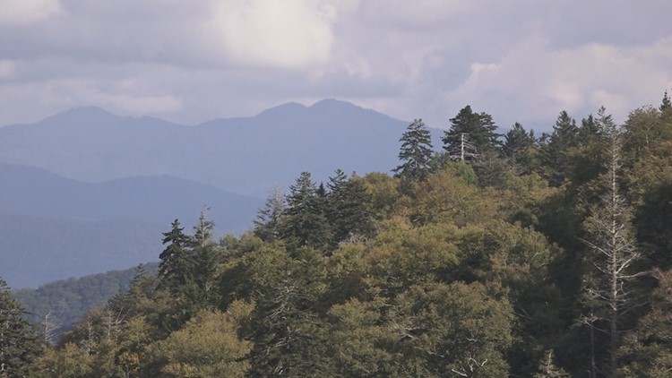 Hometown Spotlight: Great Smoky Mountains