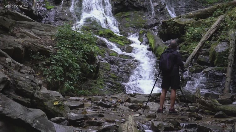 Scientists to share Great Smoky Mountains research in March