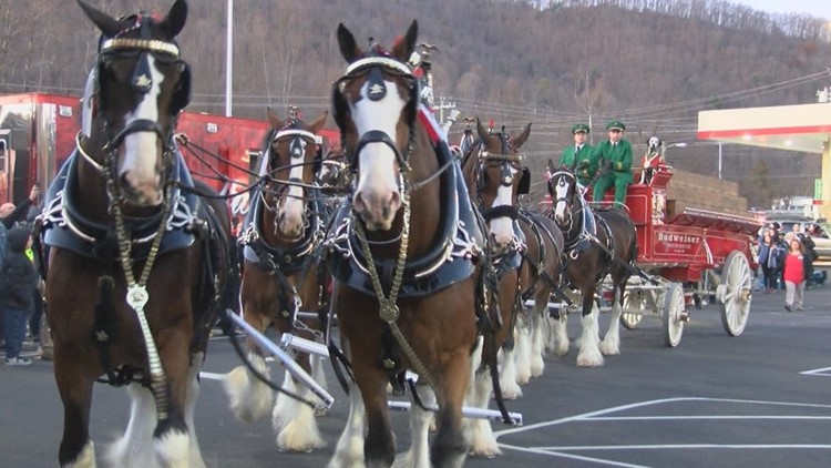 Budweiser Clydesdales to make several appearances at the 2022 Smoky Mountain Air Show