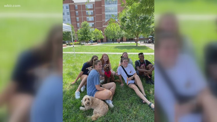 UT students were welcomed on campus with HABIT therapy dogs