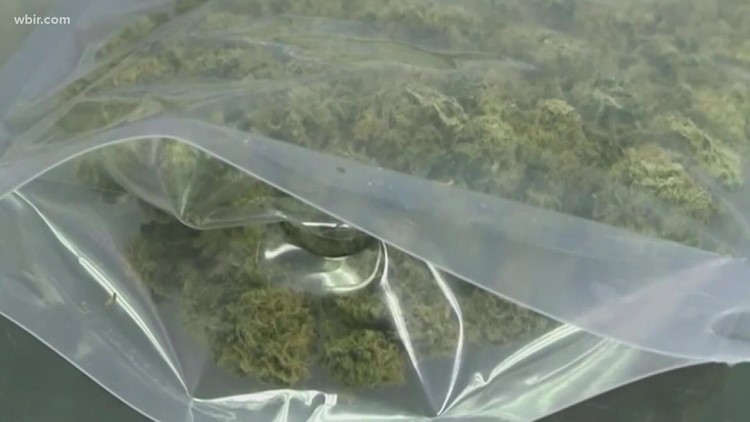Kentucky lawmakers filing bills to legalize marijuana for medical, recreational use