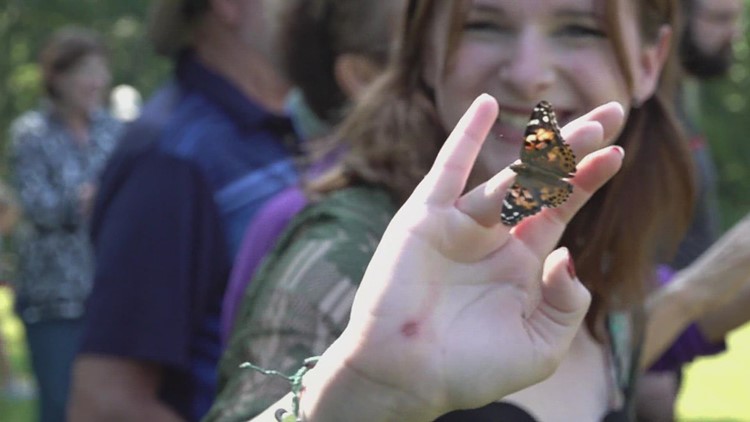 The University of Tennessee Arboretum Society to hold eighth annual Butterfly Festival