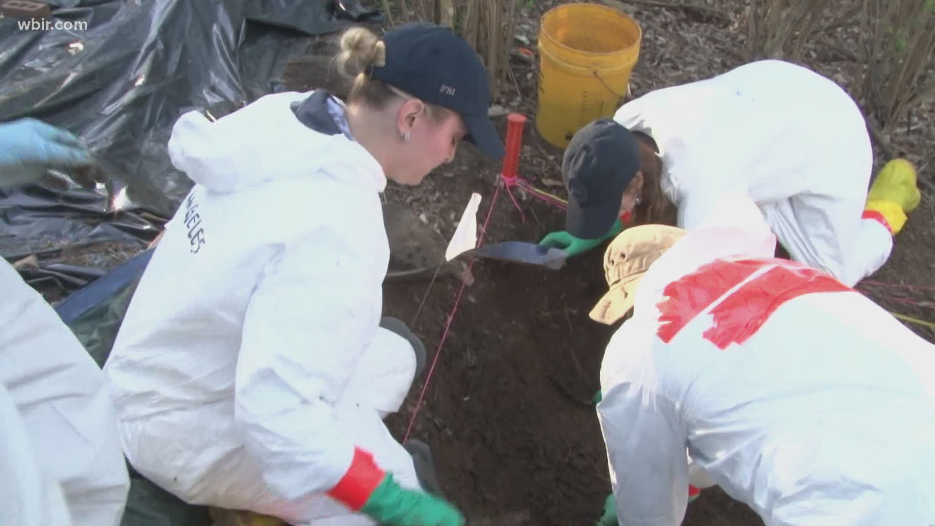 Experts at UT's Body Farm are researching whether tree colors can help locate the bodies of missing people.
