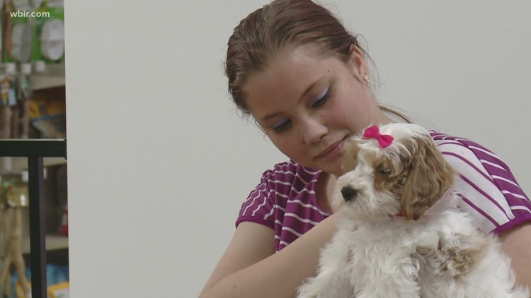 Make-A-Wish East TN gives teen her dream puppy