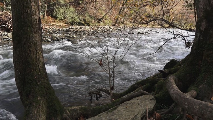North Carolina paper mill with controversy of Pigeon River pollution closing