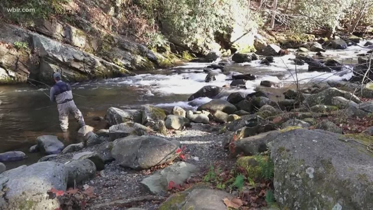 Report card will reveal the health of waterways in counties across the state