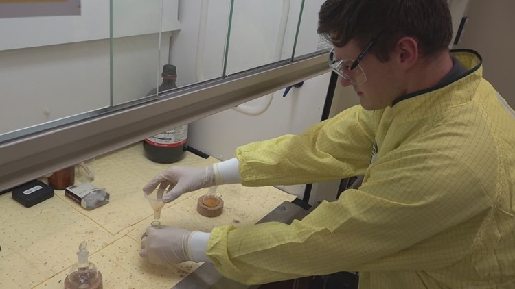 Roane State Community College gets $1.4 million grant to train students entering nuclear field
