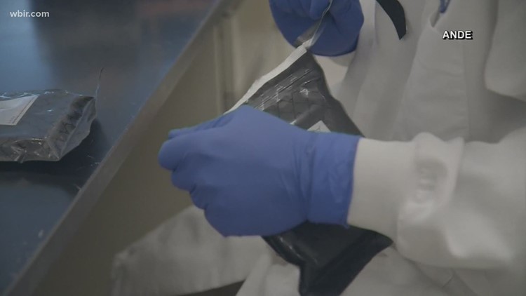 TN legislature files bill requiring evidence to be collected from rape kits within 30 days