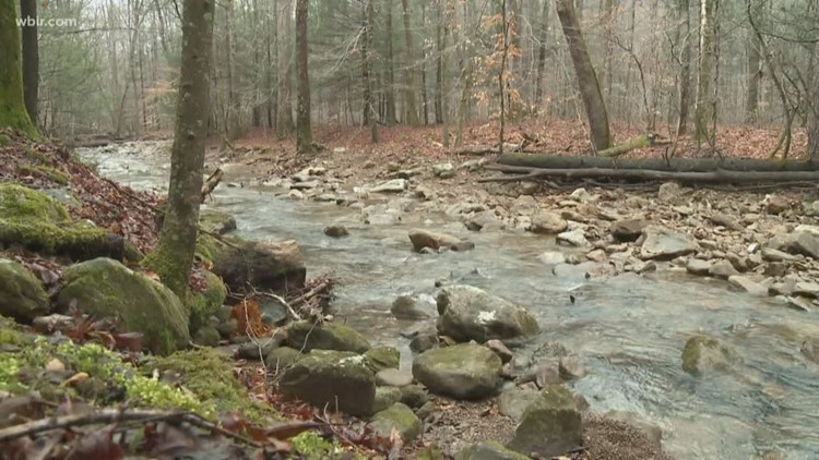 TN State Parks seeking public input after unveiling strategic plan meant to guide park management for next decade TN State Parks seeking public input after unveiling strategic plan meant to guide park management for next decade
