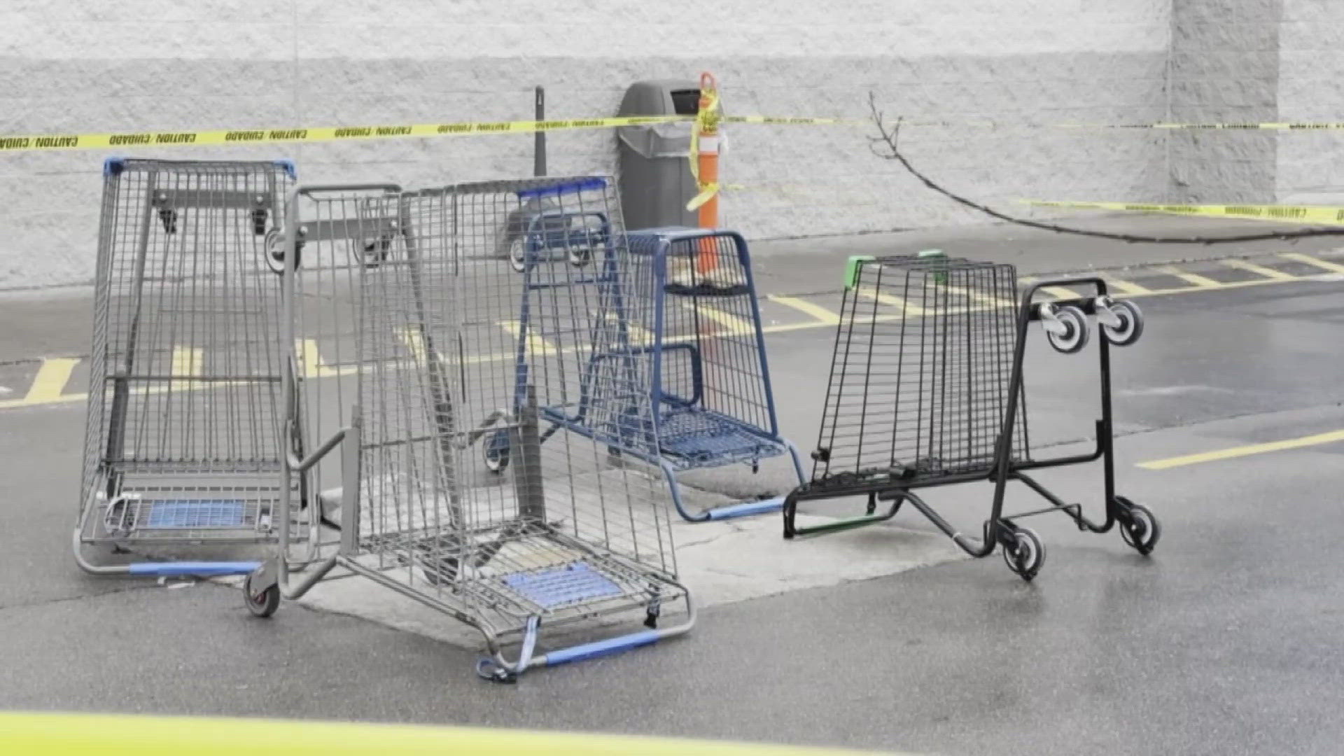 The owner reported to Knoxville police that the dog was electrocuted because she also felt the shock from the puddle.