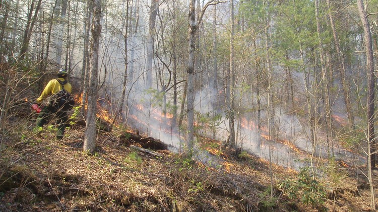 Prescribed burn planned Thursday in Cocke County Prescribed burn planned Thursday in Cocke County