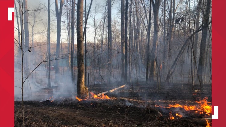 Karns Fire Department and TN Dept. of Forestry contain 10-acre wildfire