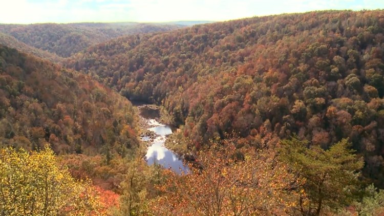 Where to see fall foliage near you in East Tennessee
