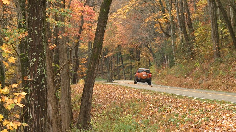 How to predict peak fall foliage in the Smokies How to predict peak fall foliage in the Smokies