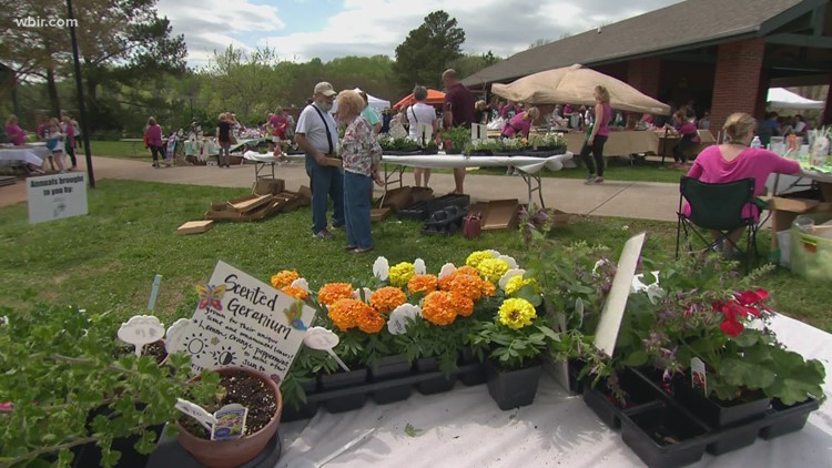 Talahi Plant Sale kicks off tomorrow at Lakeshore Park