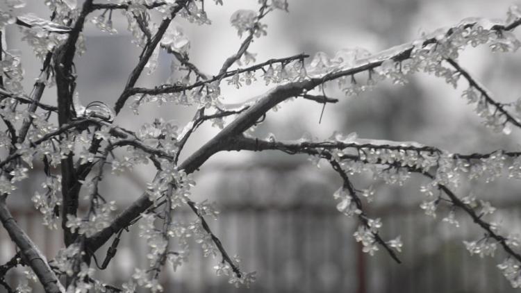 TEMA: 6 dead across TN from winter storm