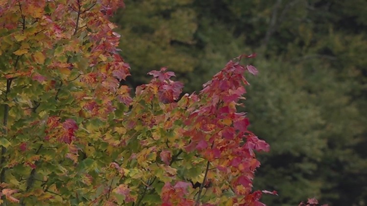 Fall colors begin brightening East Tennessee, attracting tourists