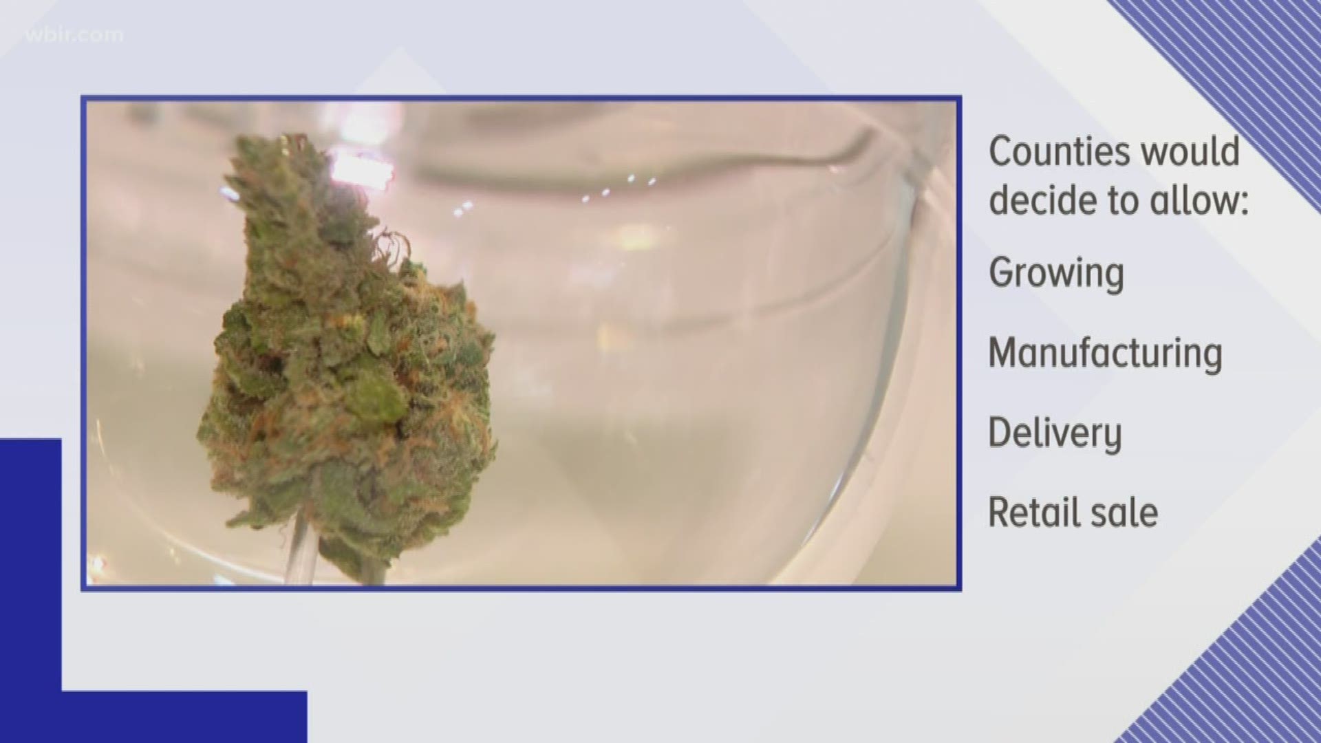 The bill would allow counties to hold referendum elections to allow the growing, processing, manufacture, delivery and retail sale of marijuana.