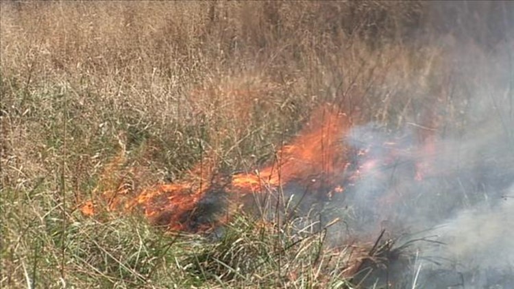 Cherokee National Forest firefighters to conduct controlled burns through March 30 in Tellico district Cherokee National Forest firefighters to conduct controlled burns through March 30 in Tellico district