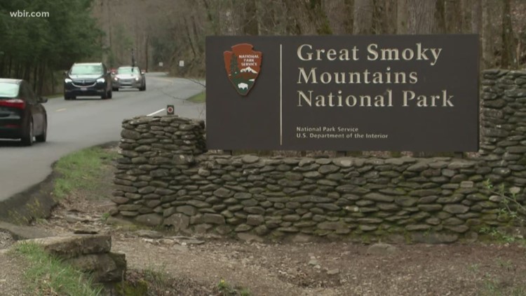 Gusty winds close several roads across the Great Smoky Mountains National Park