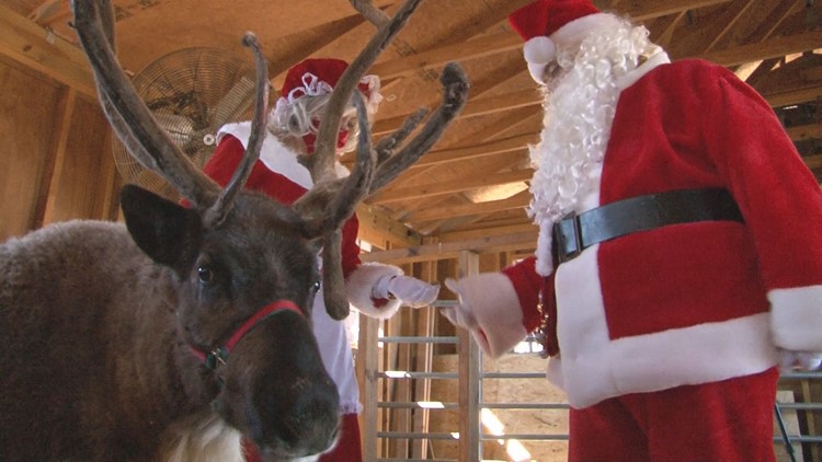 Santa checks in on backup reindeer before Christmas Eve