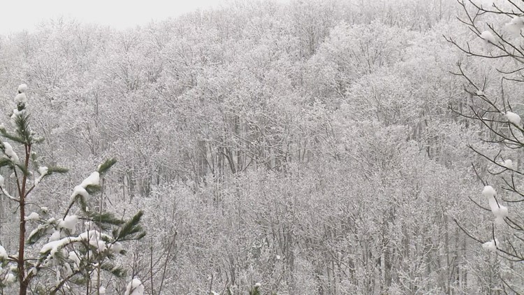 Scott County among TN counties in line for federal disaster help after February weather