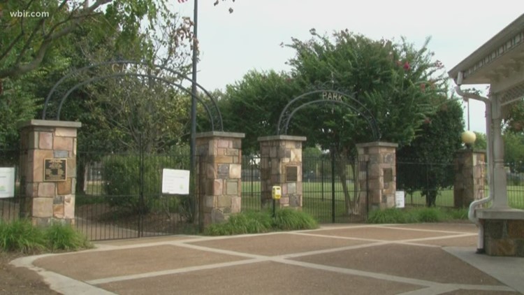 TVA and Trees Knoxville give away free trees, host invasive plant removal at Caswell Park