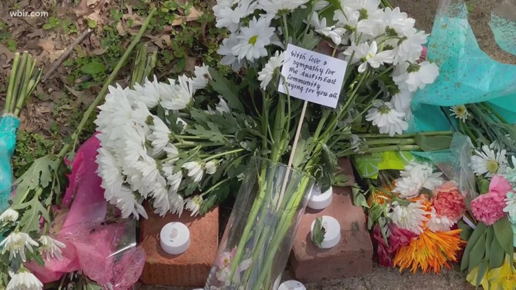 Mental health professional urges community to check in on one another after Austin East shooting