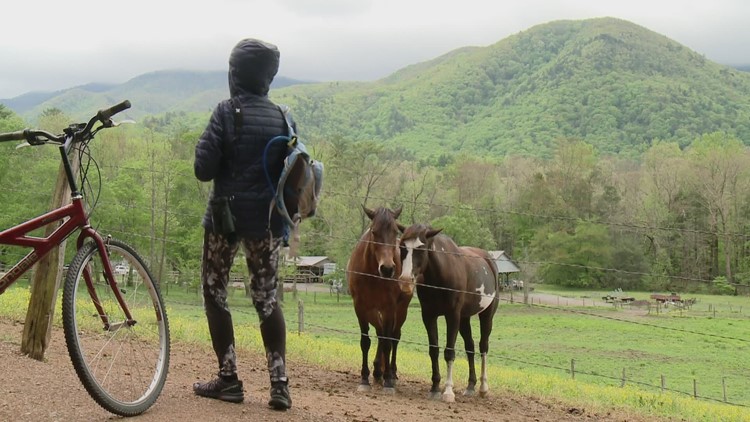 GSMNP releases results of Cades Cove, Laurel Falls pilot projects
