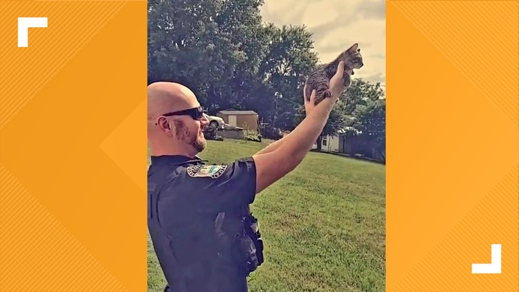 Knoxville police officers rescue kittens from hot crate abandoned in alley