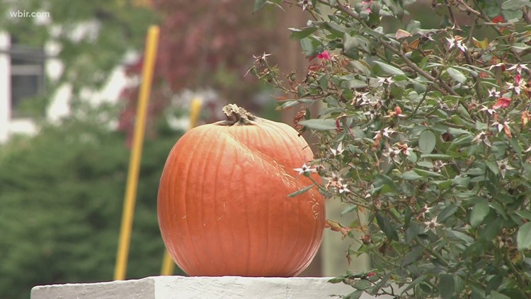 TDOC Operation Blackout adds special conditions for Tennessee sex offenders during Halloween TDOC Operation Blackout adds special conditions for Tennessee sex offenders during Halloween