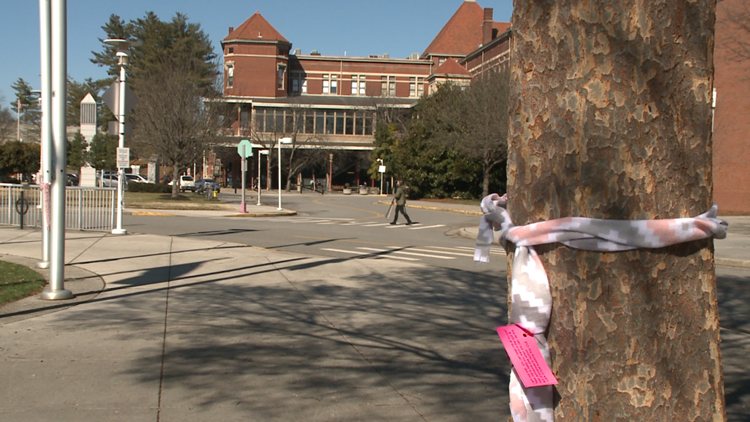 Knoxville high school students continue annual tradition of giving out scarves