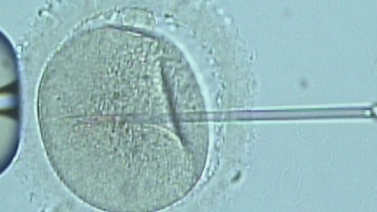 Could the Roe v. Wade decision threaten rights to in vitro fertilization treatment?