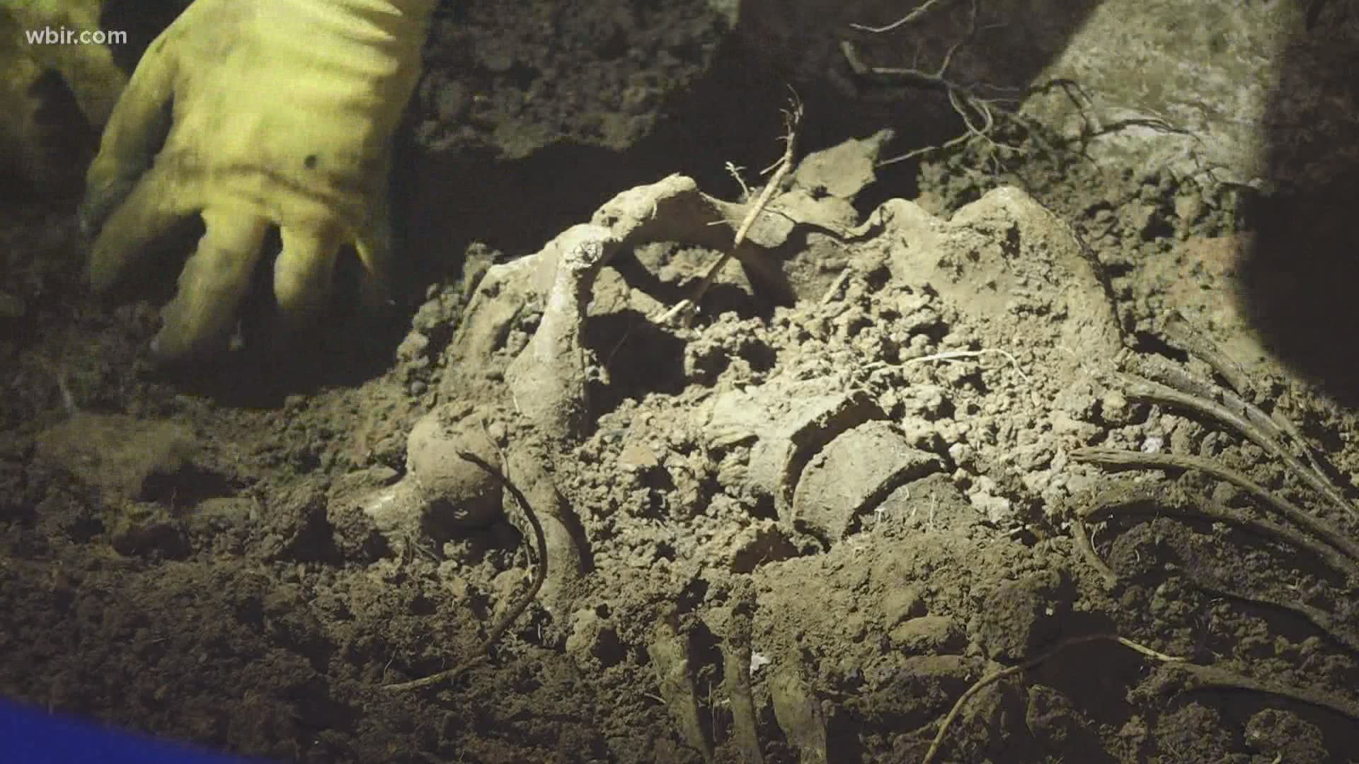 The site is the Forensic Anthropology Center, better known as "The Body Farm."
